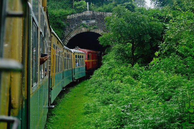 Himalayan-Queen.jpg