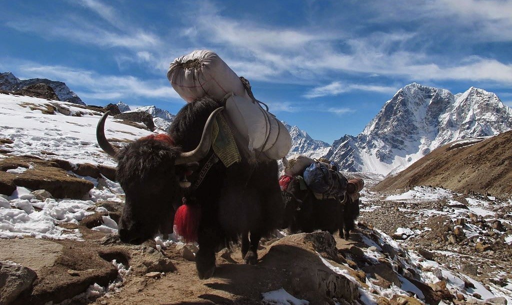 Khumjung-Nepal-panoramio.jpg