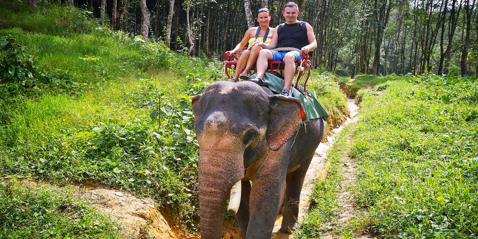 Thekkady-Honeymoon.jpg