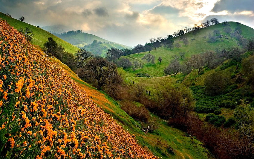 desktop-wallpaper-fields-and-hills-valley-of-flowers-valley-landscape-uttarakhand.jpg