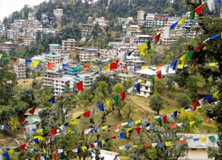 dharamsala-dalhousie-tour-2.png