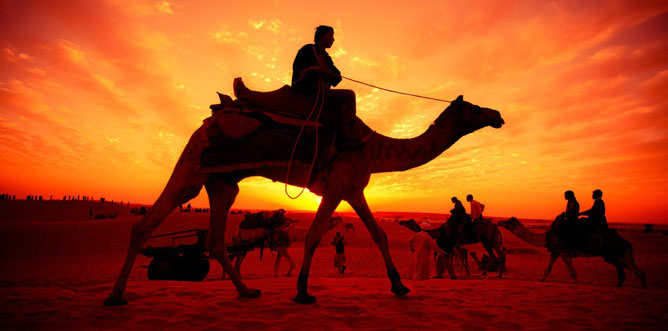 rajasthan-tour.jpg